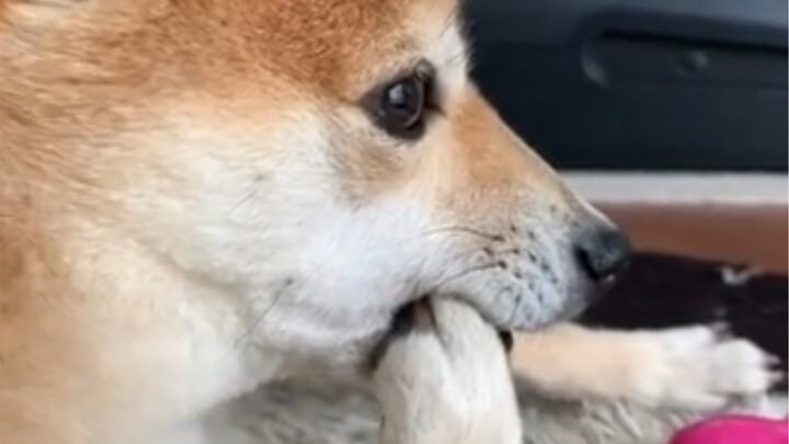 ขอร้องล่ะ ให้หนูกินบ้างเถอะ