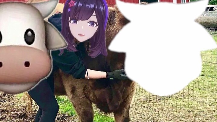 เบลลาทำวัวของเธอหาย ช่วยเธอหน่อยได้ไหม?