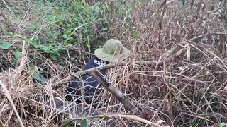 Thăm Bẫy Chuột Cống Nhum Mùa Gió Bấc Trúng Toàn Chuột Khủng.Góc Làng Quê