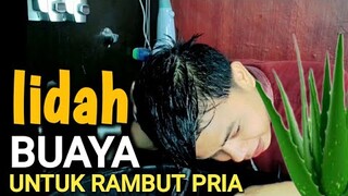 manfaat lidah buaya untuk rambut pria - sangat menakjubkan!!!!