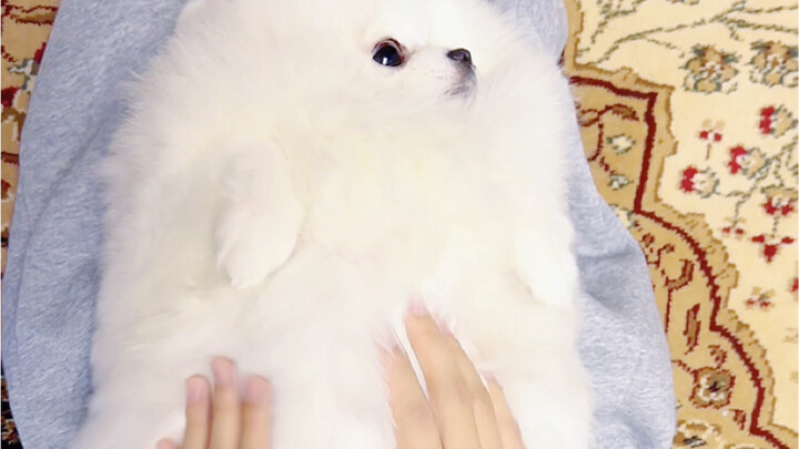 Nhanh tay cùng nhào bột trắng nào!