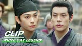 Li Bing Almost Caught the Thief | White Cat Legend EP13 | 大理寺少卿游 | iQIYI