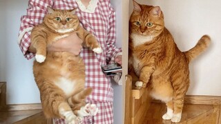 Mom, can't you even hold me for a minute?🥺