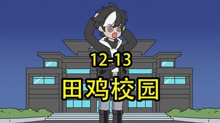 田鸡校园12-13