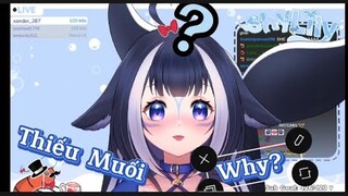 「 Vtuber / VietSub 」Khi Buổi Live Của lily thiếu gì đó!!?