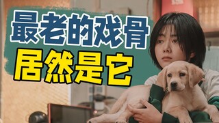 لقد لامس هذا "فيلم الكلاب" آلام عائلات كثيرة! ما هو موضوع "وداعًا لي كيلي"؟ [ملخص الفيلم]