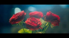 5te4lth - EP09