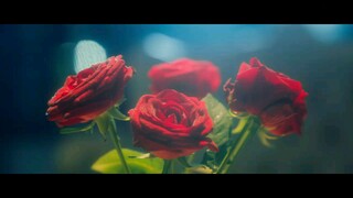5te4lth - EP09