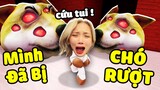 Mình Đã Bị " CON CHÓ ĐIÊN " Này Rượt Chỉ Vì Điều Gì !?