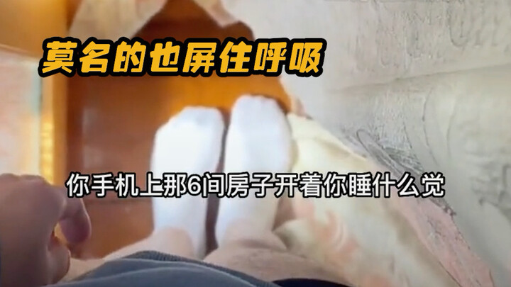 Mèo con: Sao lại bị mình tóm gọn nhỉ #Thú_cưng_dễ_thương#Mèo