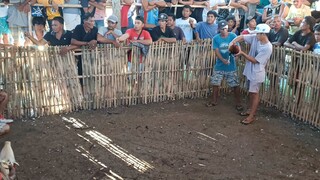 PRH Cross sa SBR. 9 MONTHS OLD. 14K LNG PARADA MGA BOSS. COCK NA KALABAN