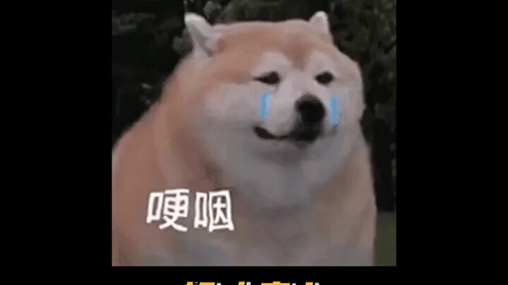 笑一笑，少十年功德！