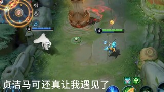 我嘞个贞洁马可