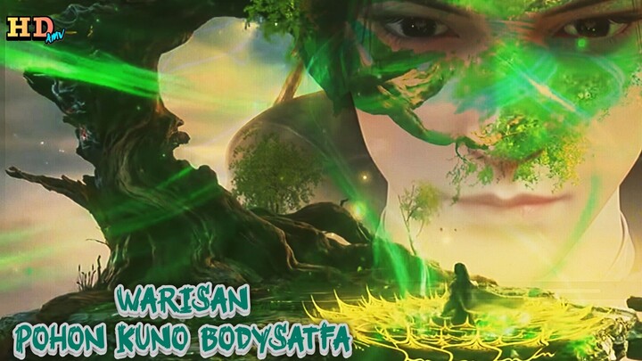 BTTH S5 168 || Warisan dari pohon Kuno Bodysatfa