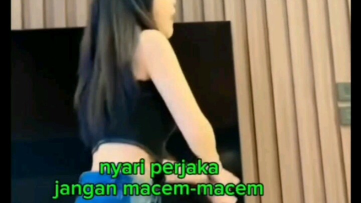 KUMPULAN ISTRI THAILAND MARAH TAPI LUCU DAN DUBBING HEWAN NGAKAK