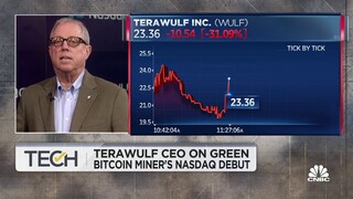 TeraWulf will mine bitcoin 'responsibly,' will be among winners in space: CEO