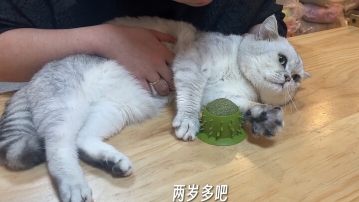 Tuannya saja sudah bisa melepaskan, masak kamu masih belum bisa melepaskan?