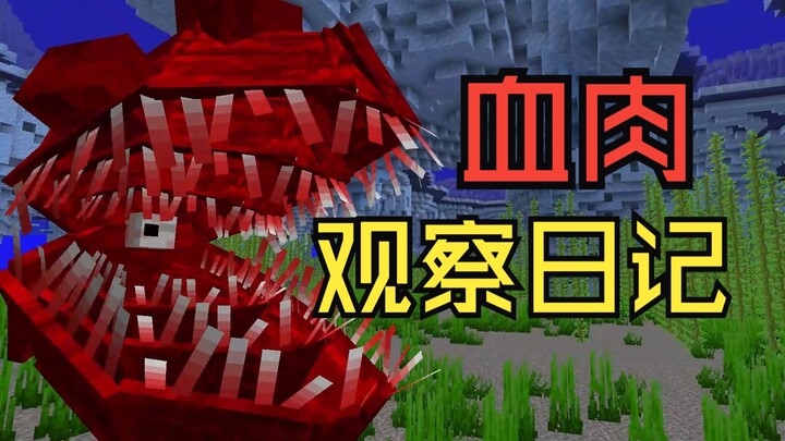【我的世界】血肉观察日记