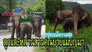 ครอบครัวที่อบอุ่นของคุณยายบุญมา แม่ใหม่ และ น้องบุญศรีหลานสาวคนสวย 🐘❤️