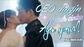 CEO dingin jatuh cinta pada agen rahasia