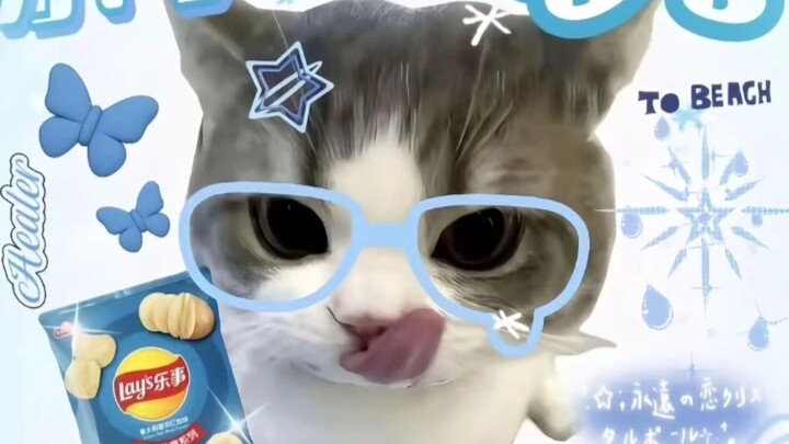 Xiao Mao’s profile picture | I also posted a video, it feels pretty sacred...