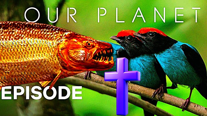 Our Planet (Righteous Edition😉)