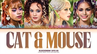 BLACKSWAN Cat & Mouse Lyrics (Color Coded Lyrics)