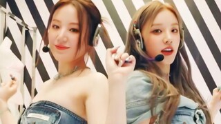杀疯了！两岸再现MV原装贴贴～