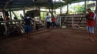1st fight (W)