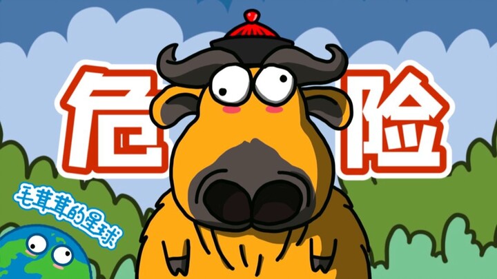 【الغزال الثور】 الكنز الوطني الغبي والطيب يواجه خطرًا!