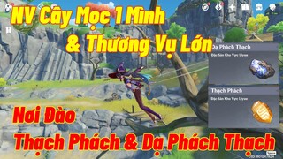 [Genshin Impact ]Hướng Dẫn NV Cây Mọc 1 Mình Và Thương Vụ Lớn Nơi Đào Thạch Phách Và Dạ Phách Thạch