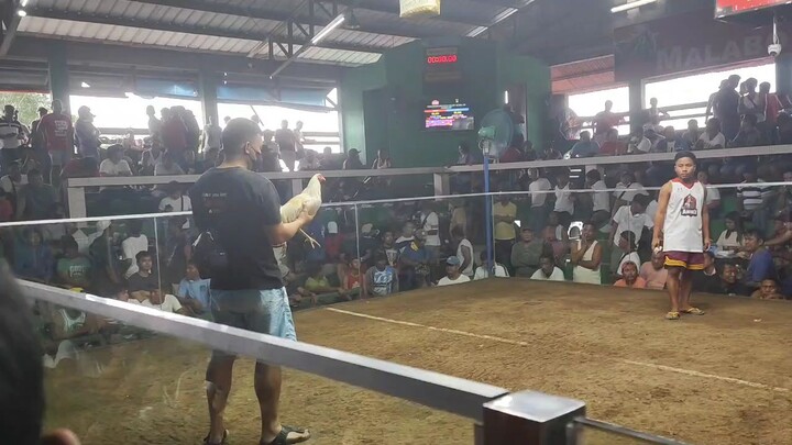 2nd Fight ng Double V GF Winner po walang sugat Dina pinaporma kalaban.