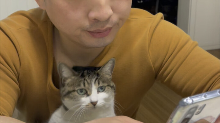 Saat kamu punya suami yang suka menggoyangkan kaki… dan seekor kucing manja yang cinta sama ayahnya