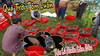 Cận Cảnh Quá Trình Xổ Tôm Của Người Nông Dân Kiên Giang Tôm Nhiều Thấy Ham