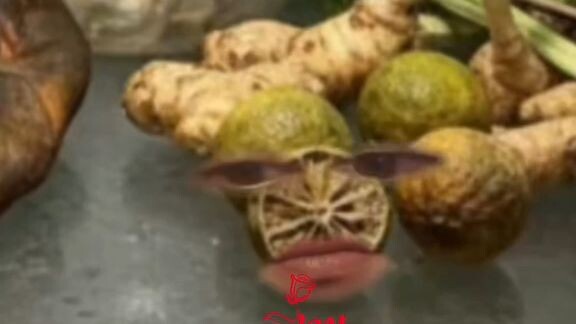 นั่นคืออะไร