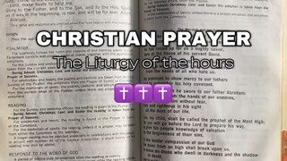 https://vt.tiktok.com/ZSSsv6pL5/