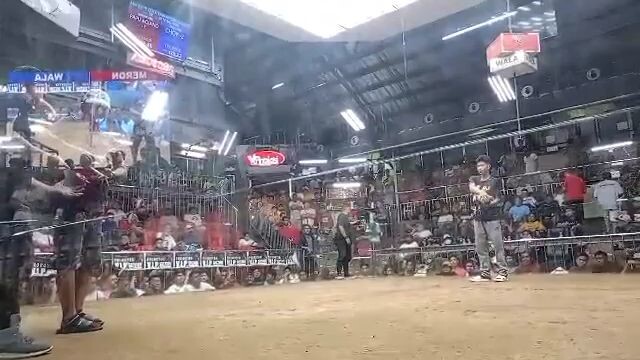 2nd fight @ SMC Muff grey