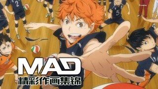 Mungkin animasi adaptasi manga olahraga terbaik - serial "Volleyball Boys" yang diilustrasikan oleh 