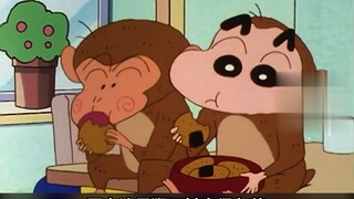 野原家闯入一只猴子，而小新轻易就把他驯服了