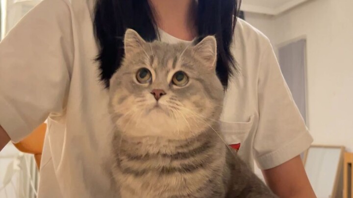 益智玩具玩了一个月了，他变聪明了吗