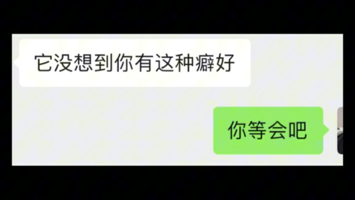 เมื่อฉันหาผู้เชี่ยวชาญด้านการสื่อสารกับสุนัขให้สุนัขของฉัน 3