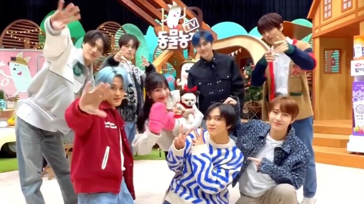 “NCT DREAM” tidak hanya menari bersama para senior H.O.T, tetapi juga bersama Joy—sensasi berdekatan