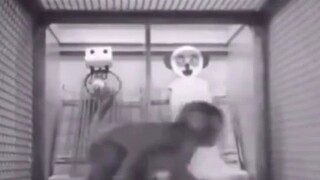 การทดลองที่โหดร้ายกับลิงแม็กแคก