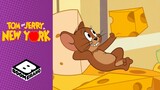 Tom Swap Places with Famous Cat | Tom & Jerry in New York | Boomerang UK