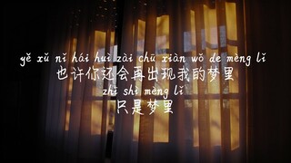 【我的世界没有你-苏晗】WO DE SHI JIE MEI YOU NI-SU HAN /TIKTOK,抖音,틱톡/Pinyin Lyrics, 拼音歌词, 병음가사/No AD, 无广告, 광고없음