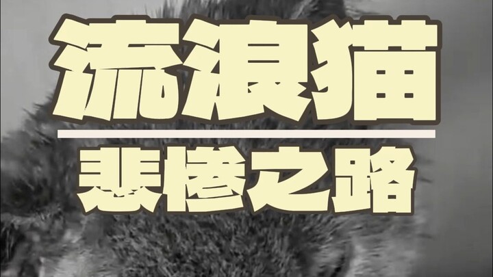 This episode features a treatment failure case that I originally didn’t plan to publish…