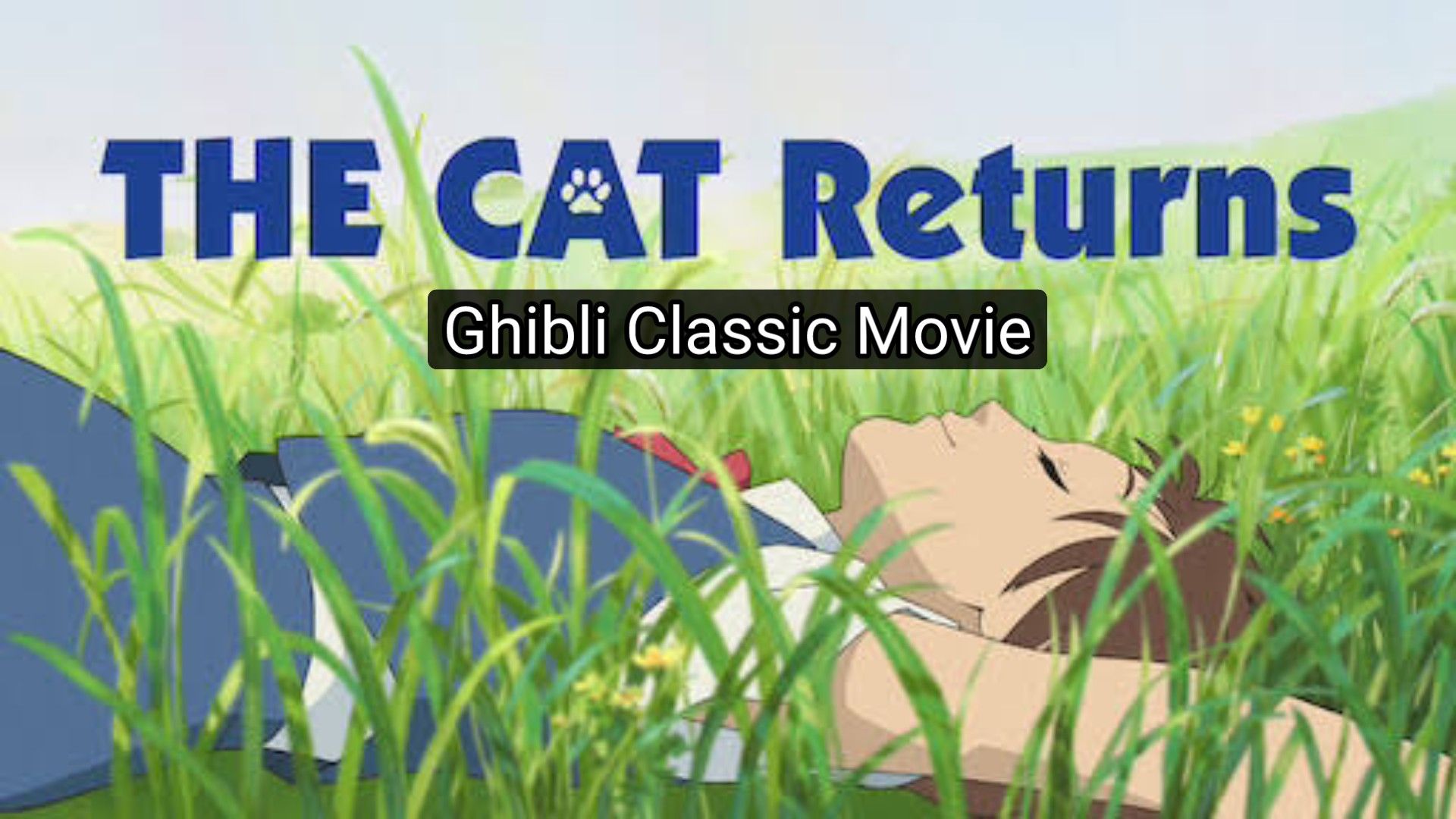 (the)-cat-returns