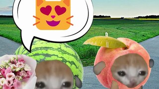 Banana Cat turns into Watermelon Cat to pick up girls!