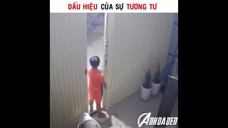 Dấu Hiệu Của Sự Tương Tư
