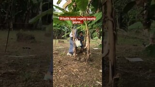 #shortvideo #shortvideo #filmkomedi #filmpendek #dramakomedi #bolos